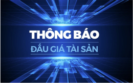 Thông báo kết quả lựa chọn tổ chức đấu giá tài sản